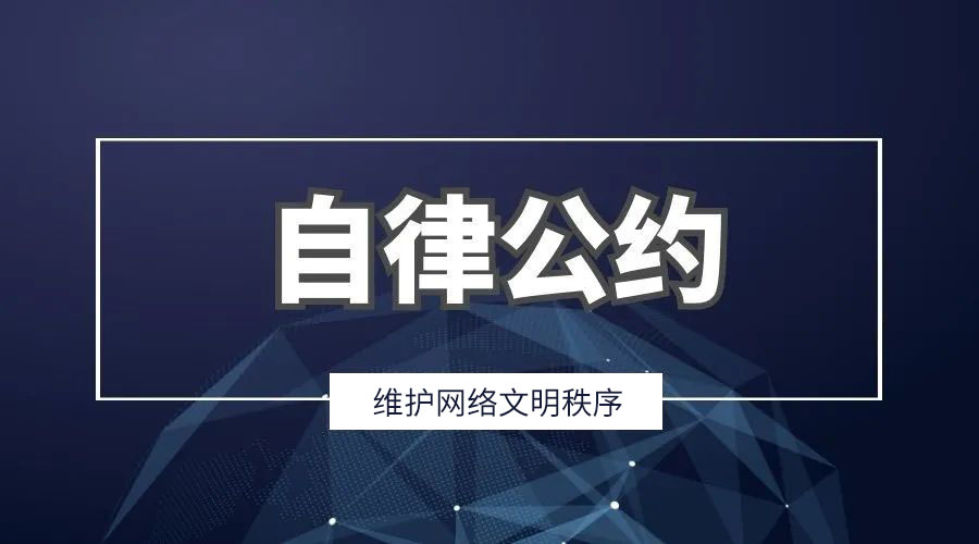 江苏星海舞台装备工程有限公司官网平台自律条约